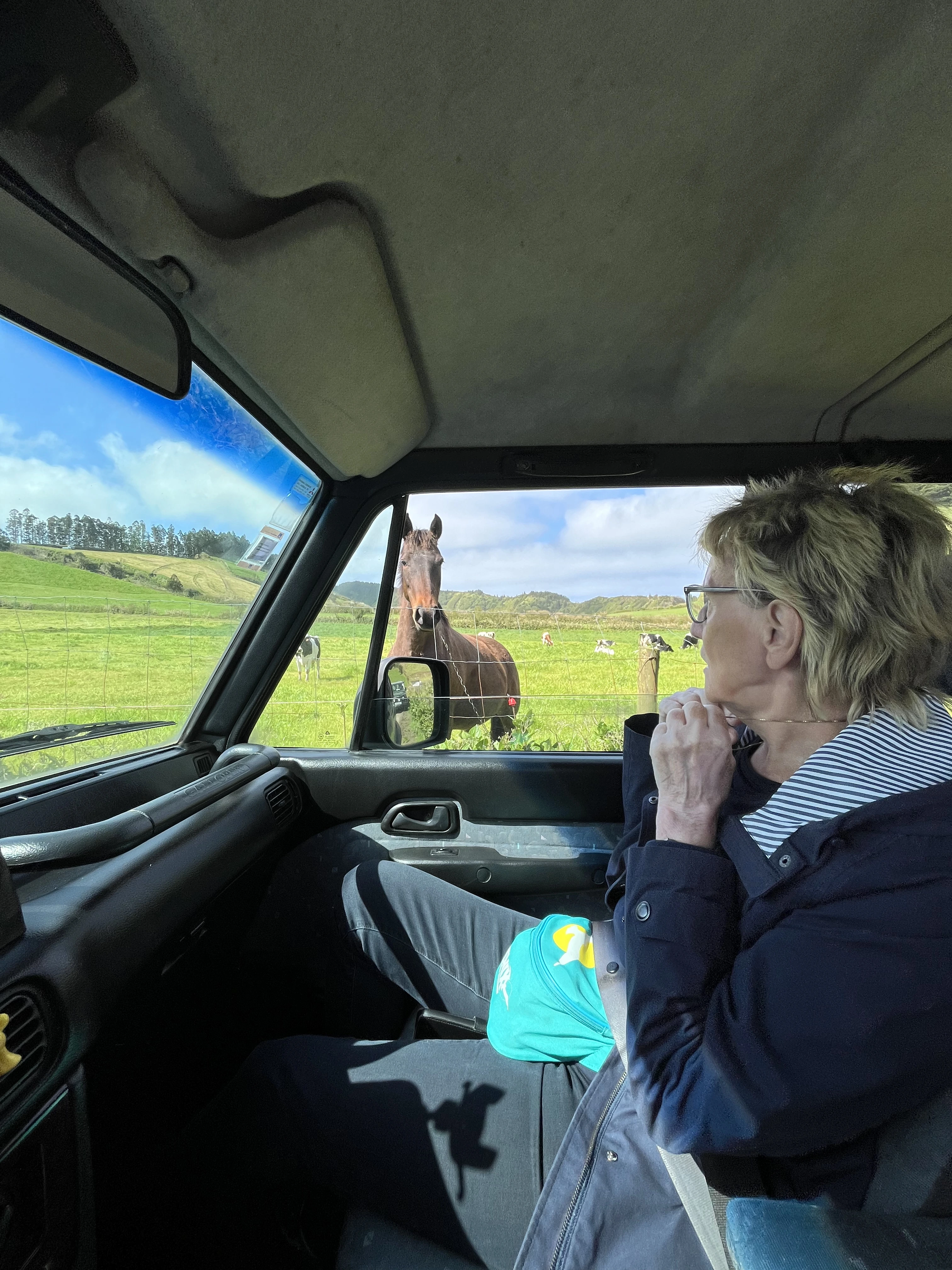 Scenic route and viewpoints